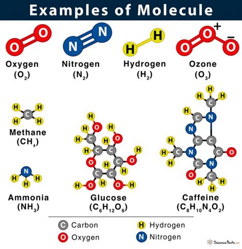 molecule examples
